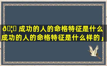 🦁 成功的人的命格特征是什么「成功的人的命格特征是什么样的」